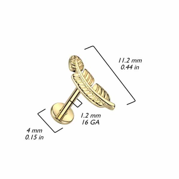 Implant Grade Titanium Internally Threaded Leaf Top Labret - Image 2