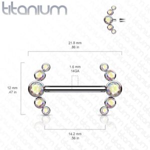Internally Threaded Titanium Nipple Bar With CZ Curve Ends