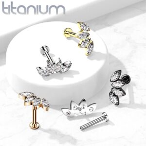 Internally Threaded Titanium Labret Cartilage Stud With Marquise CZ Fan