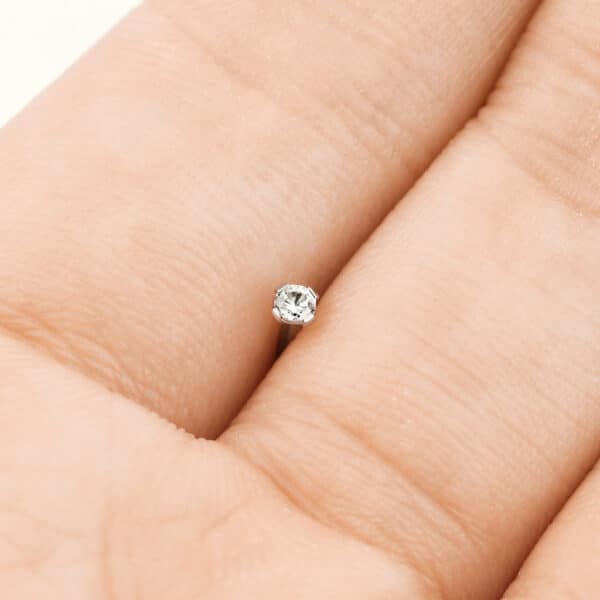Titanium Nose Screw with 2mm Prong Set CZ - Image 2