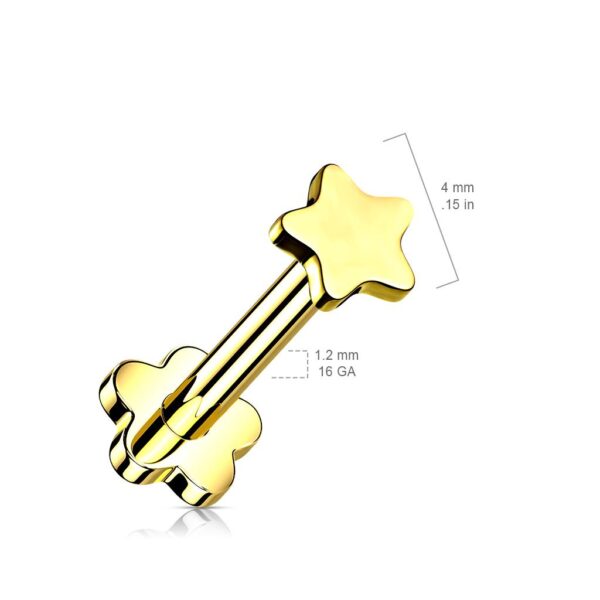 Titanium Threadless Push in Flower Base Labret With Star Top - Image 2