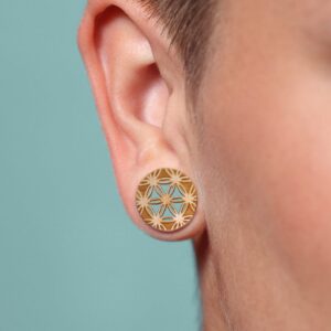 Plugs Tunnels & Stretchers